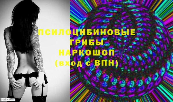 ECSTASY Алексин